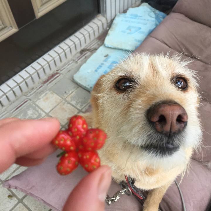 D38c6dd9 5811 4814 89d1 3730aac2b336