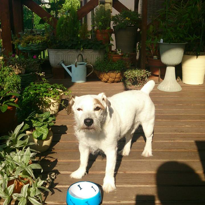 D38d49d3 bb60 4be7 8a46 50abf35df699