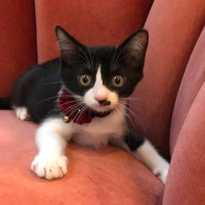 D38da18b 8e65 4c17 8fb6 b76563564d6e