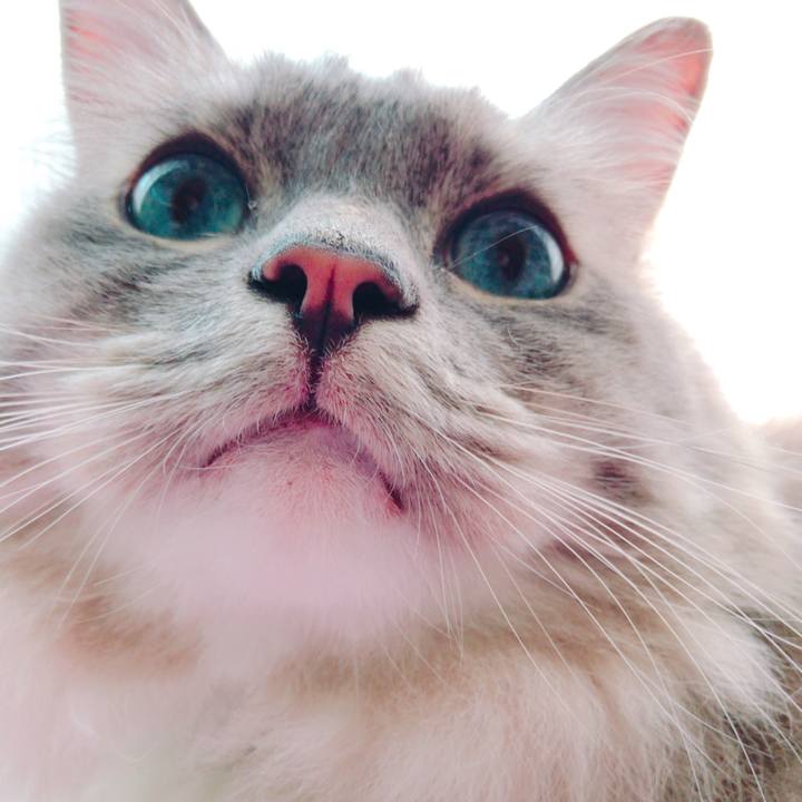 D38e058c 18b8 419d bd87 0e5d819bfa07