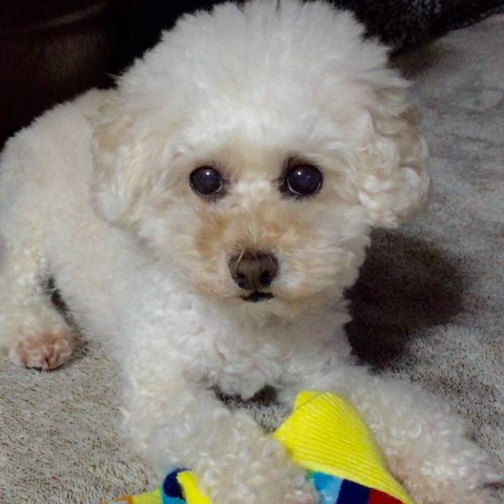 D38fc641 3295 4442 b7d9 6732cef375d7