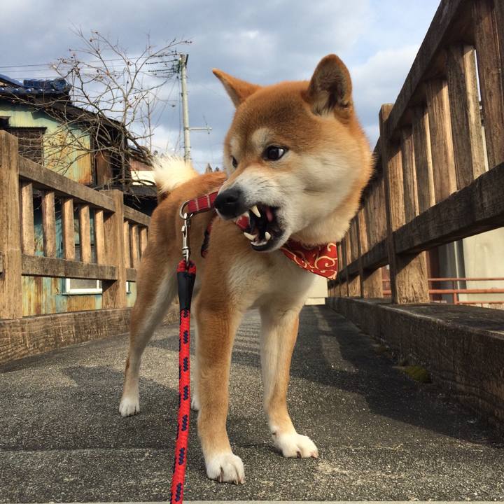 D38fc6fc 8234 4419 9084 09cfaa70a0f1