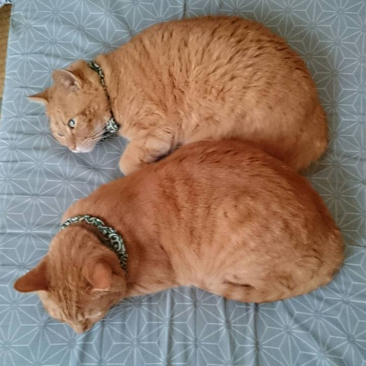 D3915bd8 630f 4e0c a8a7 d2517fa2b98e