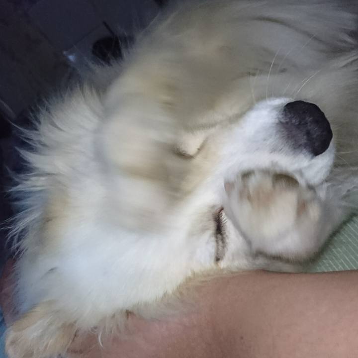 D3917558 a270 4d63 a00f 129f2191be48