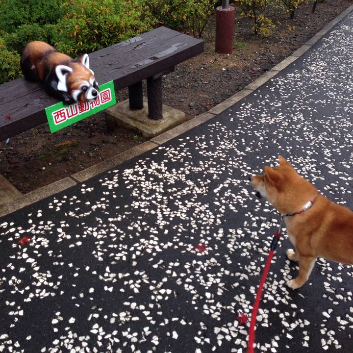 D393667f 26a9 4eb3 8aad 7482bf9e39a7