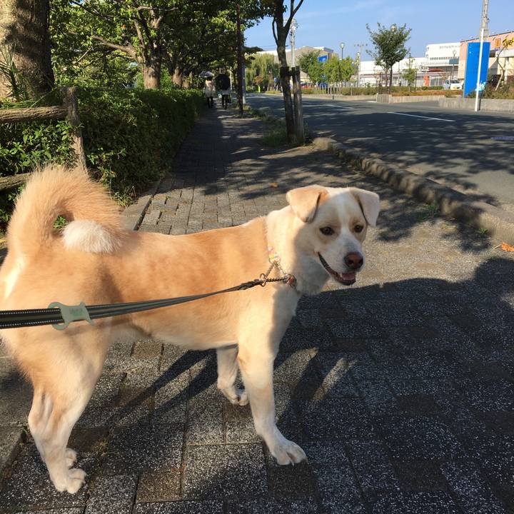 D3938878 1774 4bde bc4e 0d3ee1e14fb7