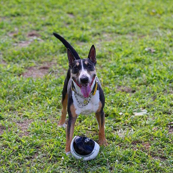 D3943154 a727 4d46 94dd 9fa7fc9a8569