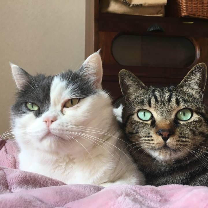 D39526e2 aa50 4ce1 a343 8f2260736a02