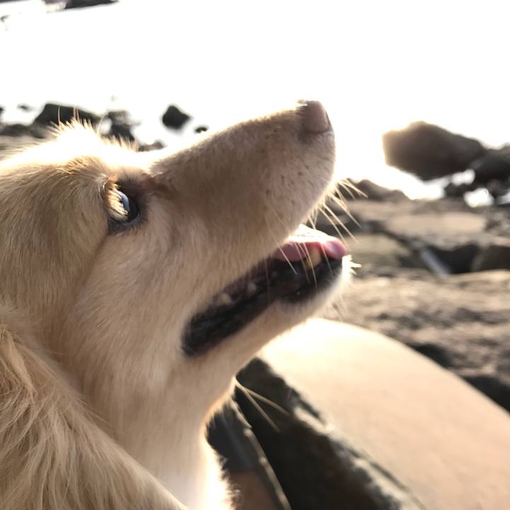 D39627a8 15a0 4439 9ef3 673214b914cf