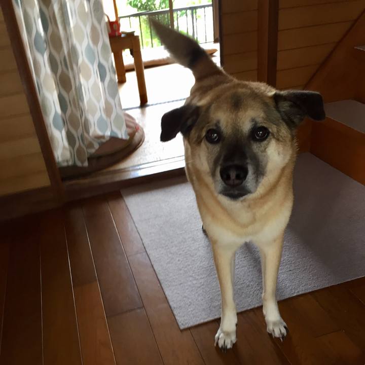 D3968712 0467 482f b99e 242dcf247258