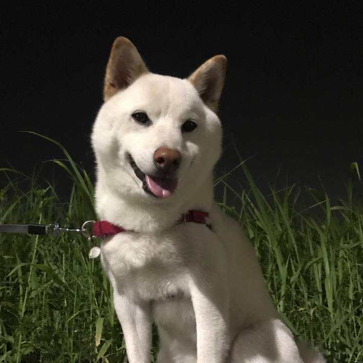 D396a411 0729 4f24 b110 739f2df9a55d