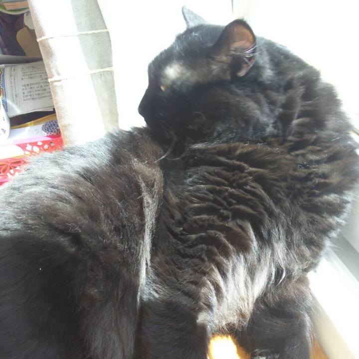 D396da73 496b 41fb a9b6 06236094cd89