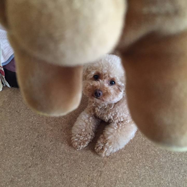 D3973e15 b4ac 4c2c 9c6c 2461ff51f406