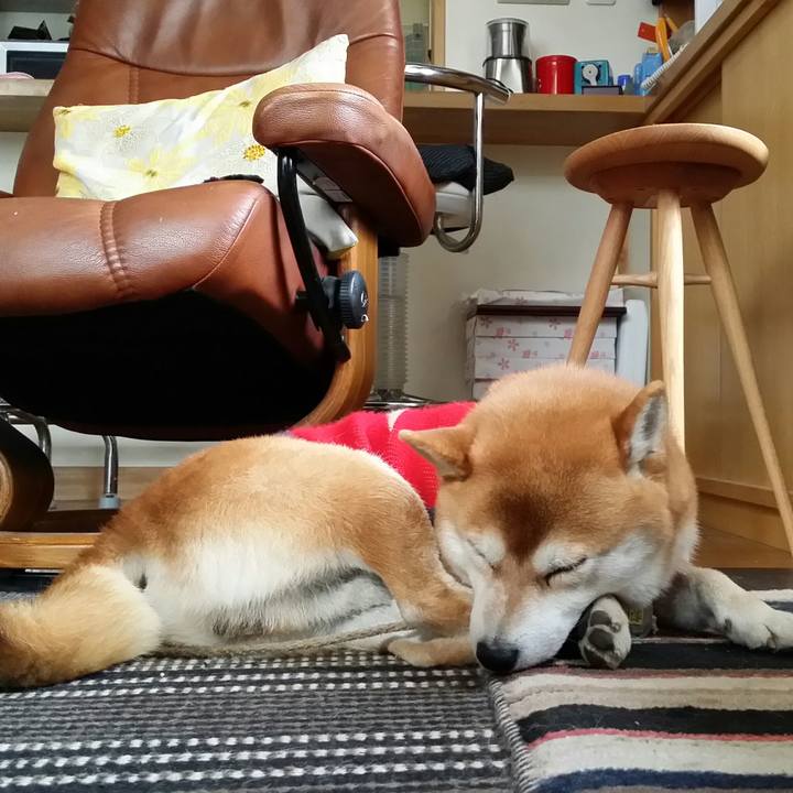 D39750e5 7dea 436d 9a23 a01ed986e20d