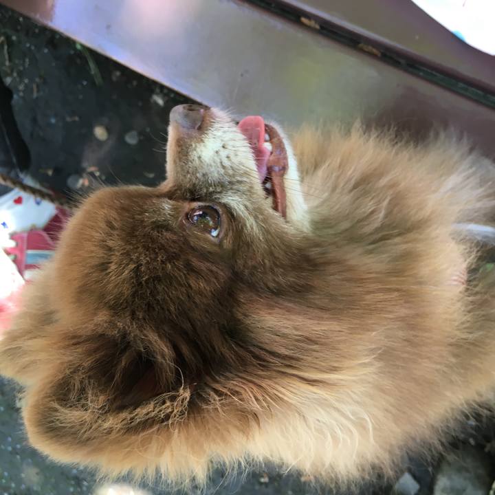 D397ff0b c3d7 47dd 93fc 923f4d69e991