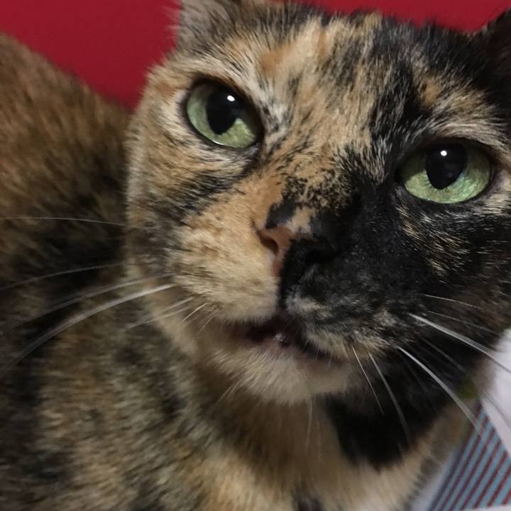 D39821f9 8718 4b1c b113 5b937f1a6852