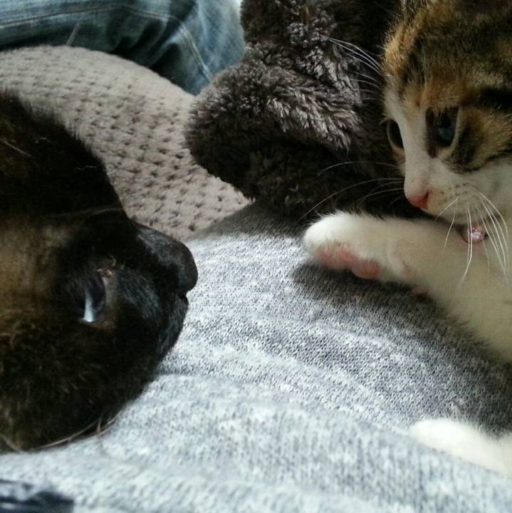 D398afe7 5325 4296 ab32 31e2e3446d1e