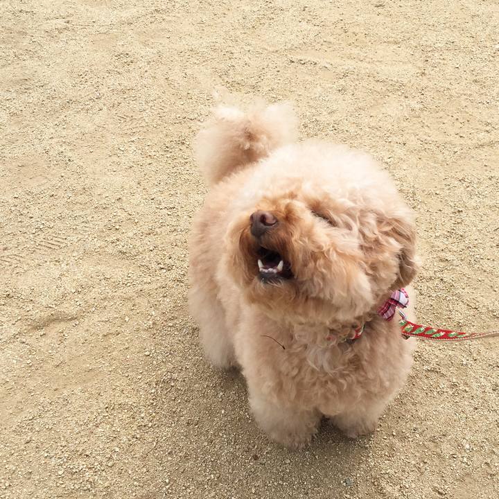 D398e041 4a8c 4ce3 8c88 7a2fb4ab2879