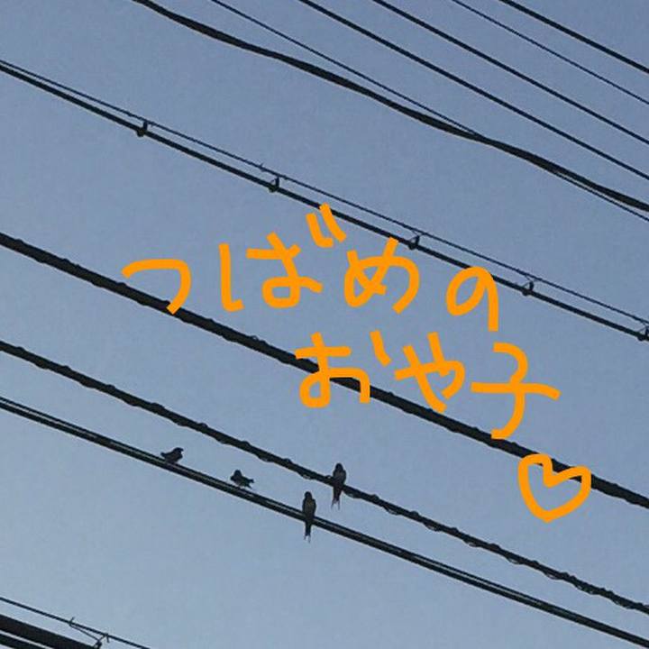 D3990c3f 27c3 46e1 8c29 0b88728ee137