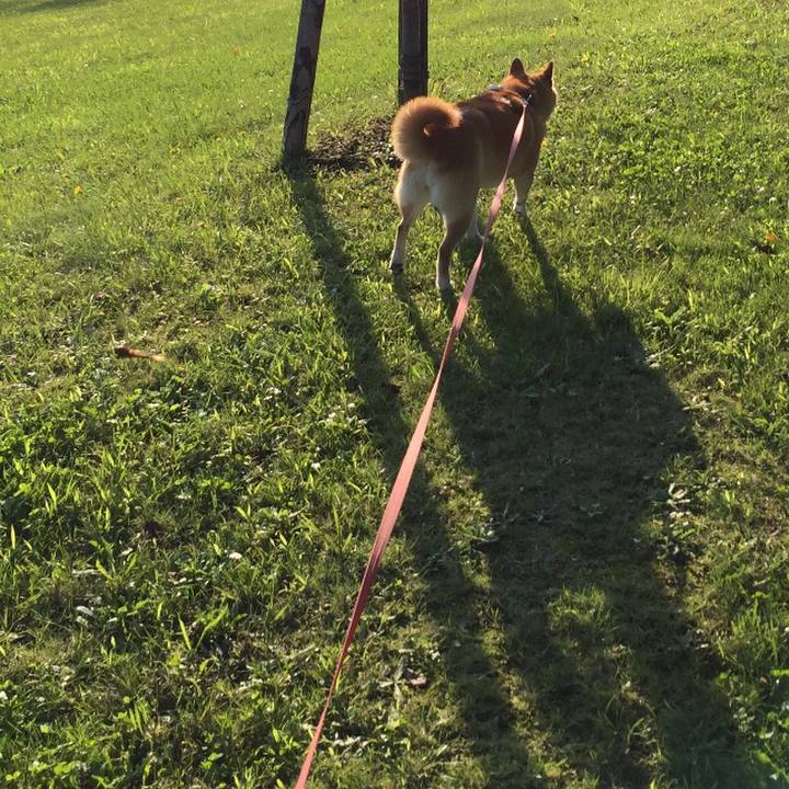 D399620c 4d1d 4f09 999d 37a18534e67c