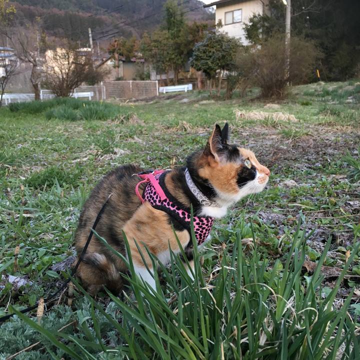 D39989a6 b7f6 482b 9dd5 e73c6844ecff