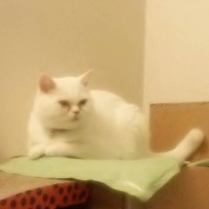 D3999bb5 8dbe 4422 a159 0ce124575b9e