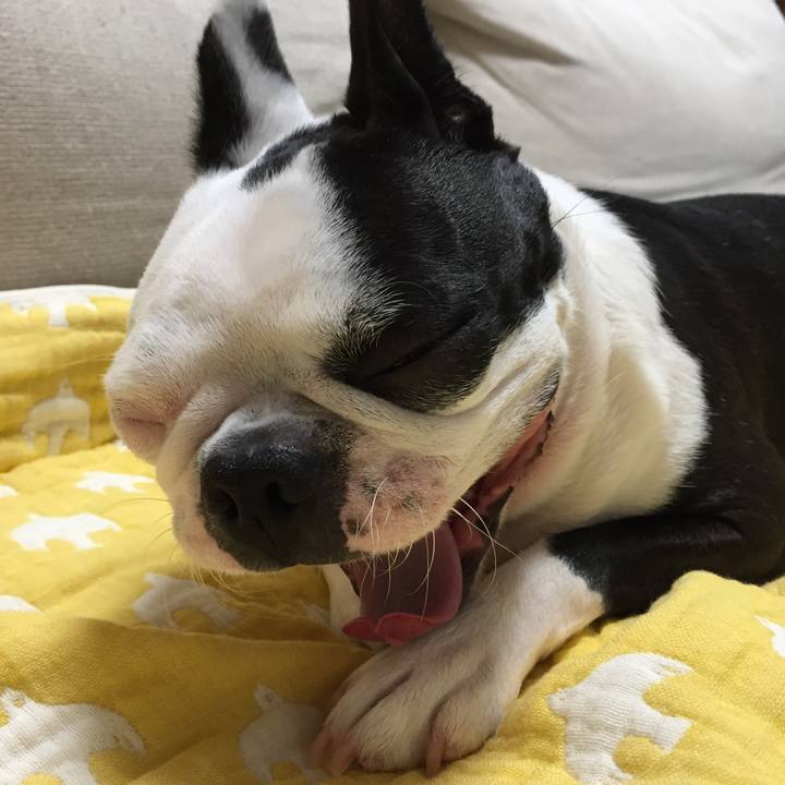 D39a4b41 371c 4af2 868d c1ab78820d34