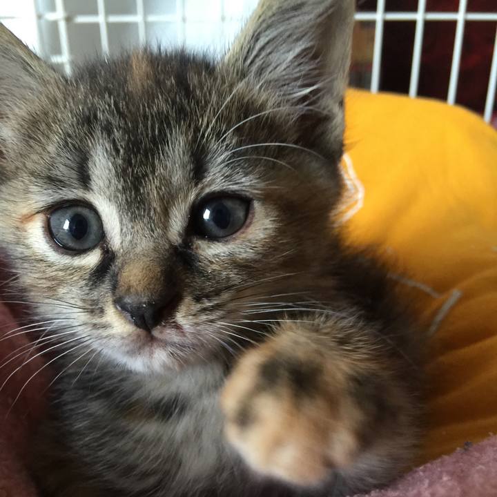 D39ab257 0f2a 442a 82b9 a1068822282b