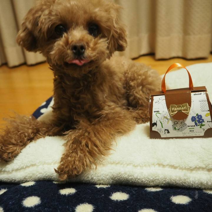 D39adb3a ef7b 4879 a689 9b0e5880ab9f