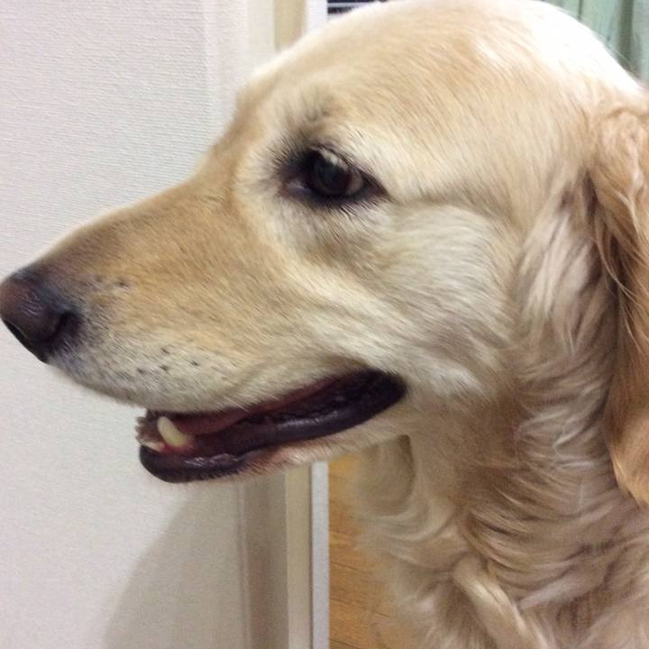 D39bbd28 afb7 4dce bed0 5315c4ba63a7