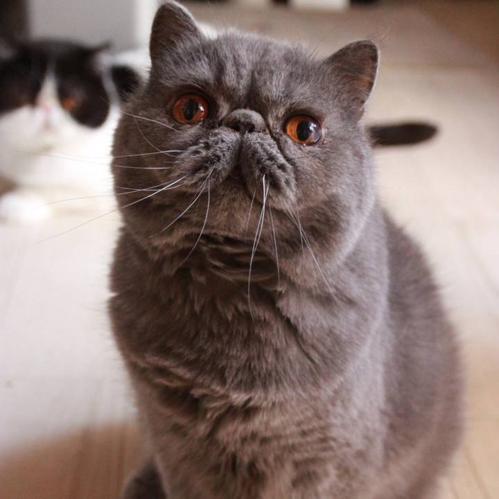 D39bd330 46d7 48b2 9f78 08a957ebc8e4