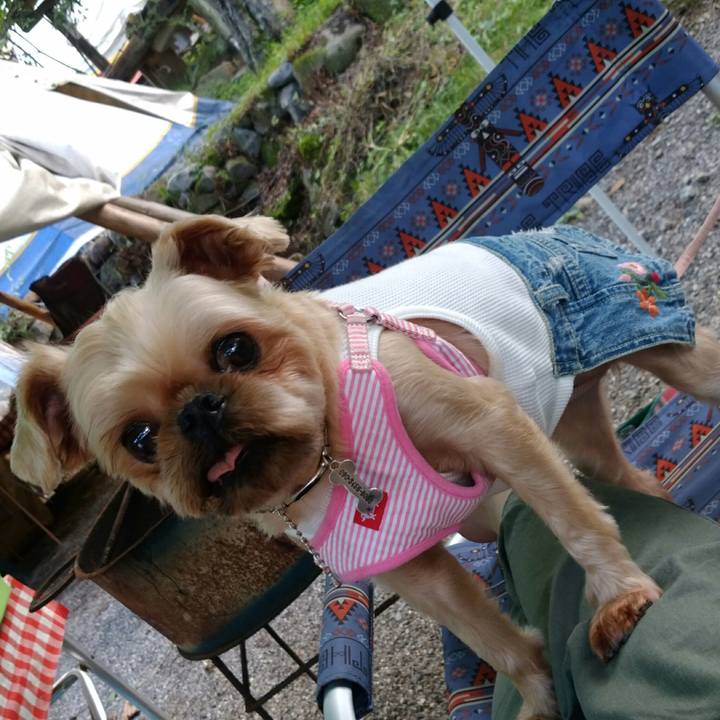 D39c51c7 691f 49e8 9172 45888cfde6c6