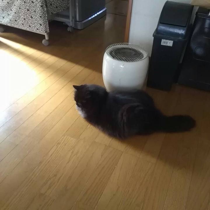 D39c9719 1fe7 47b6 adf7 10df708c43dc