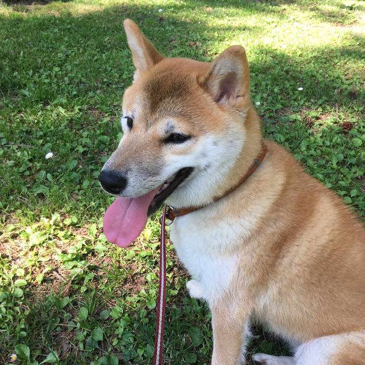 D39d1a5e 241c 4433 93e2 955c53865905