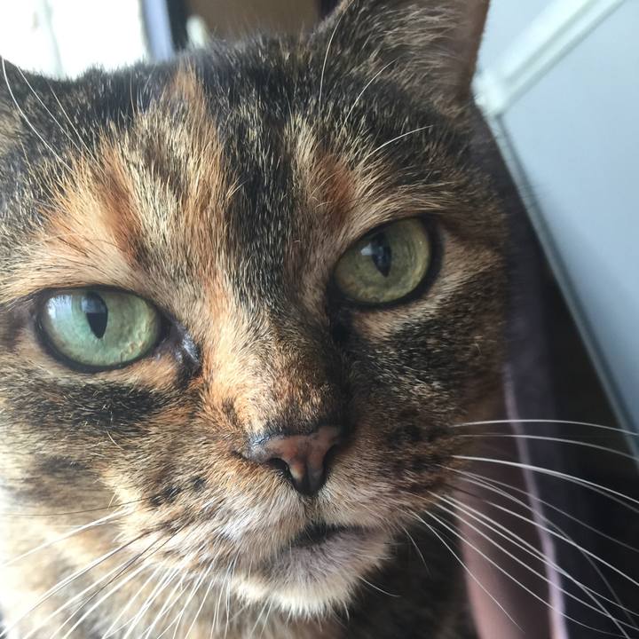 D39d8079 11c9 4d5f ad74 e2cf573dc146