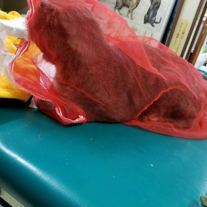 D39df579 5feb 4c3d b232 bfadb18eb6e3