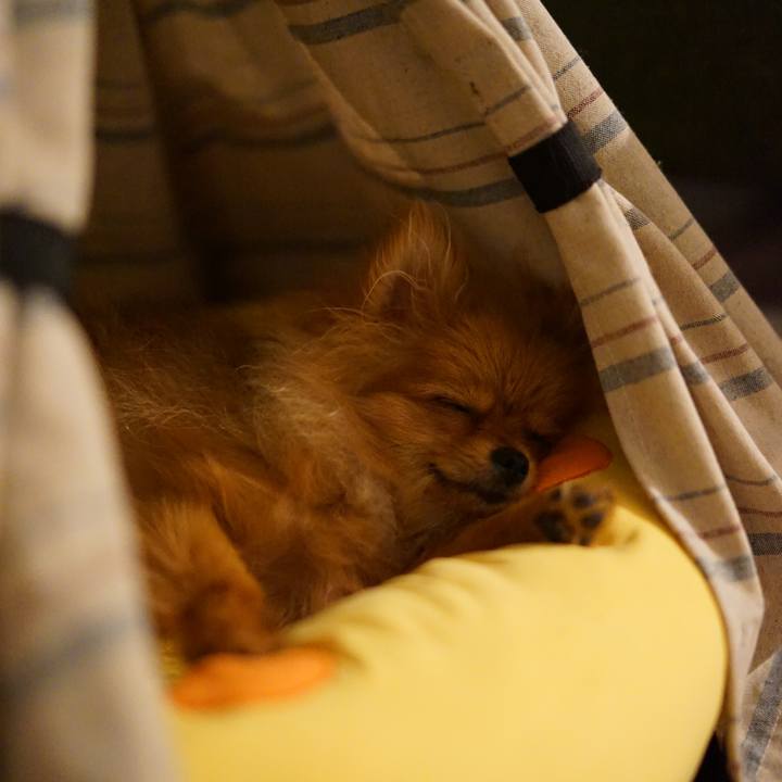 D39e5429 cb0d 445a 83e8 44583cee5c52