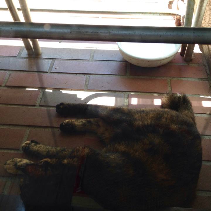 D39e87b4 aff7 4d76 8c11 ce804a69791f