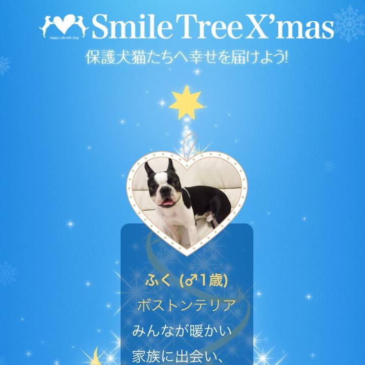 D39ea391 b86a 497e b420 607932466b4f