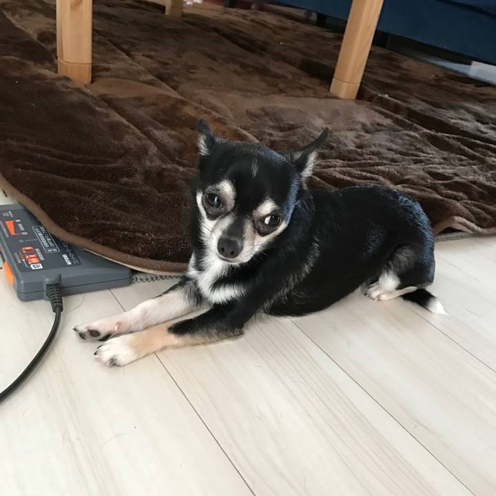 D39ee19c 021a 459c 997d 1ab40315a813