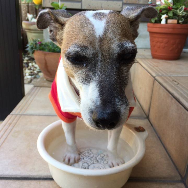 D39f5a2f 8fc6 4a03 be1c a596c82e3a61