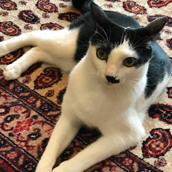 D39ffa8c 9478 4650 a939 16d0440f820a