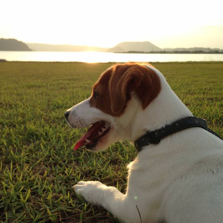 D3a019e4 c703 46b9 991e 461351254caf