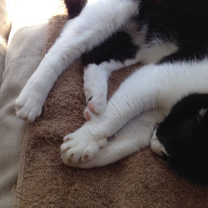 D3a077db d48d 4cf1 9fc4 c40652d6a3da