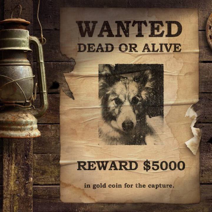 D3a079cc e07b 43df 861b 46c7835d01a4