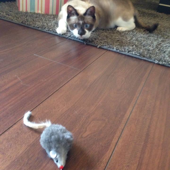 D3a09f2e 8691 4998 b681 43d3b4278f2a