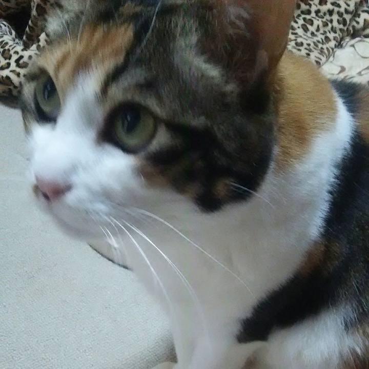 D3a0b629 ff12 461d 801d 31267bbeb6c8