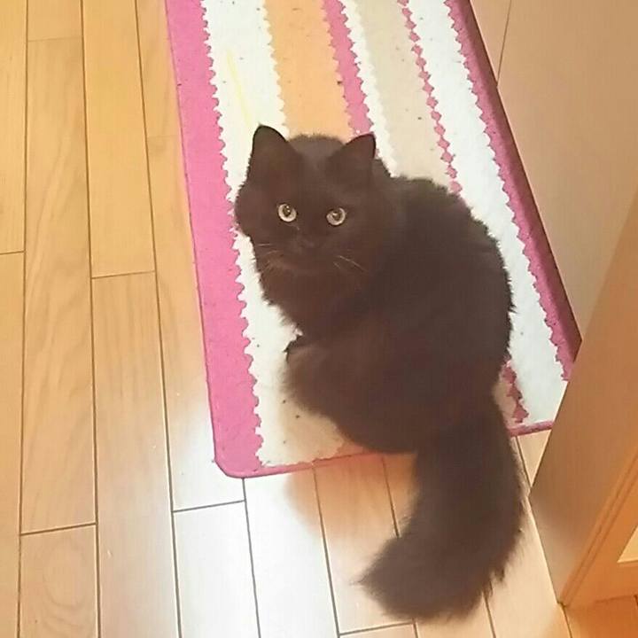 D3a0b999 a421 439f a49e 9ff3780e300f