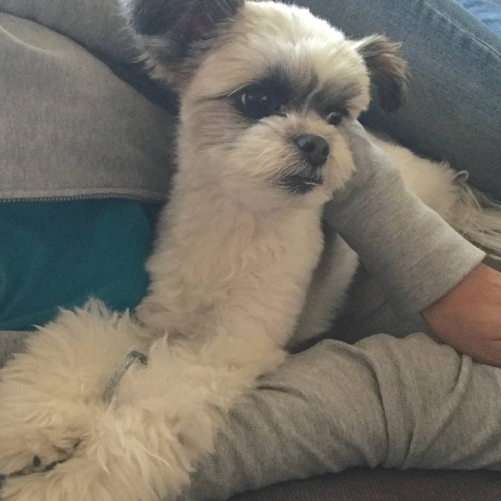 D3a0c8e6 b1ea 43cc 91b8 a278bfaa8043