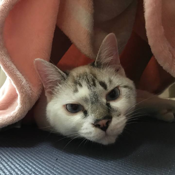 D3a1bbc2 d3e5 4c9d a53d 32ac78f993d8